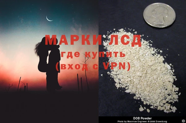 эйфоретик Баксан