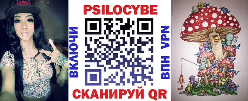 Галлюциногенные грибы Psilocybine cubensis  Сланцы 